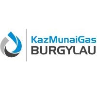 kmg-burgylau